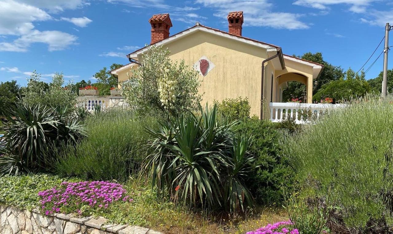 Villa Yucca Istra Labin  Exteriér fotografie