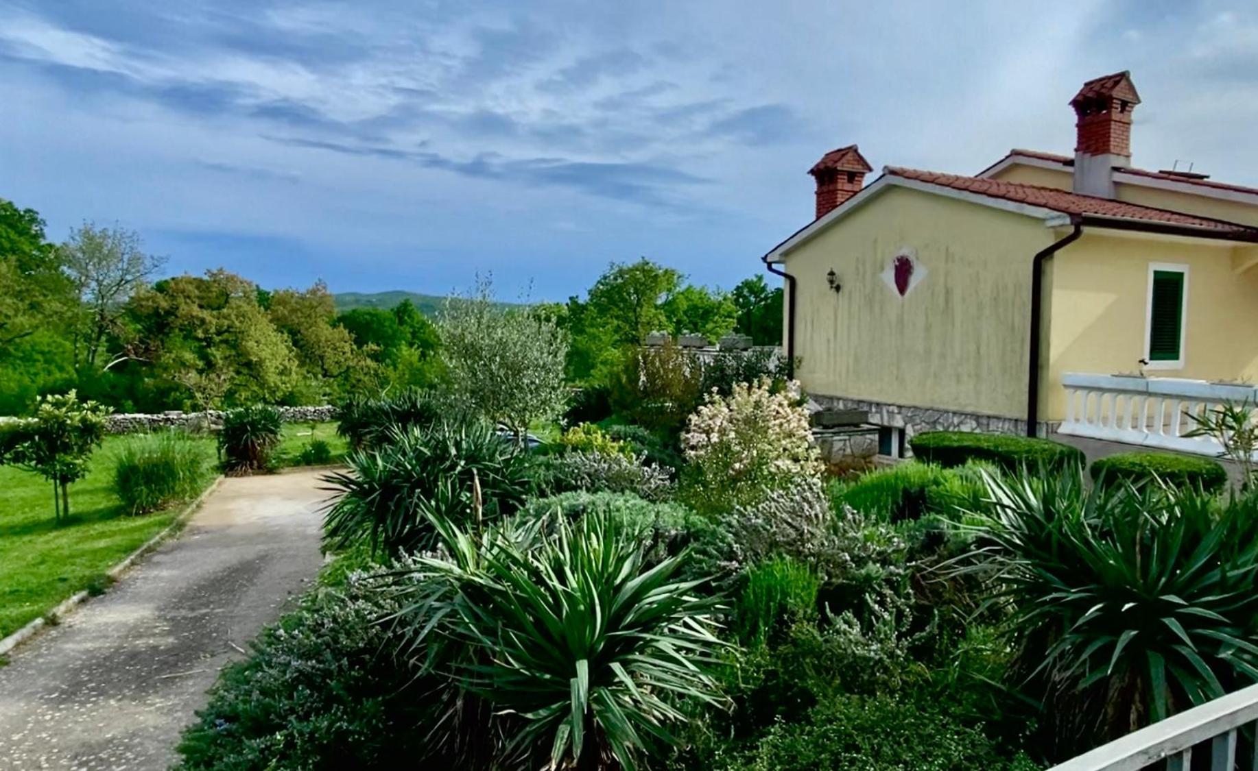 Villa Yucca Istra Labin  Exteriér fotografie